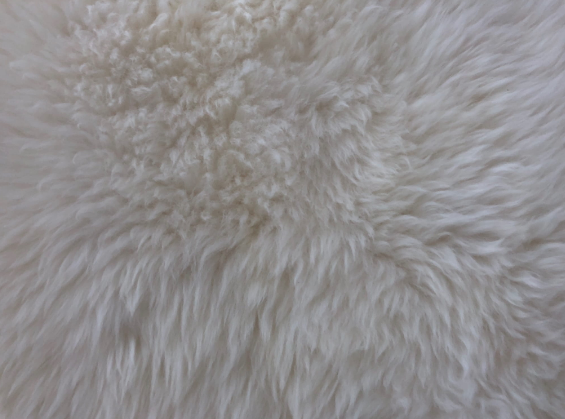 włos skóry owczej sheepskin