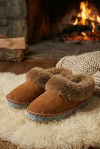 alpine-product-1765548204218.png