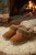 alpine-product-1765548204218.png